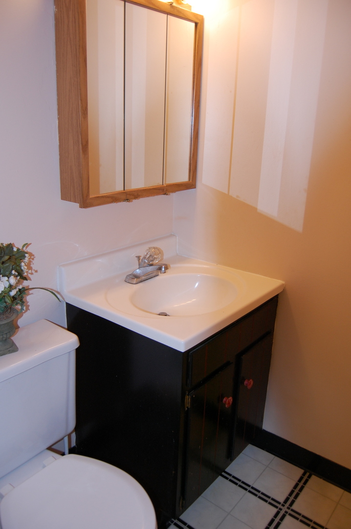 300 South Roselle Road, Unit 507 Schaumburg, IL 60193 - Photo 14 of 19 a bathroom with a sink and a toilet