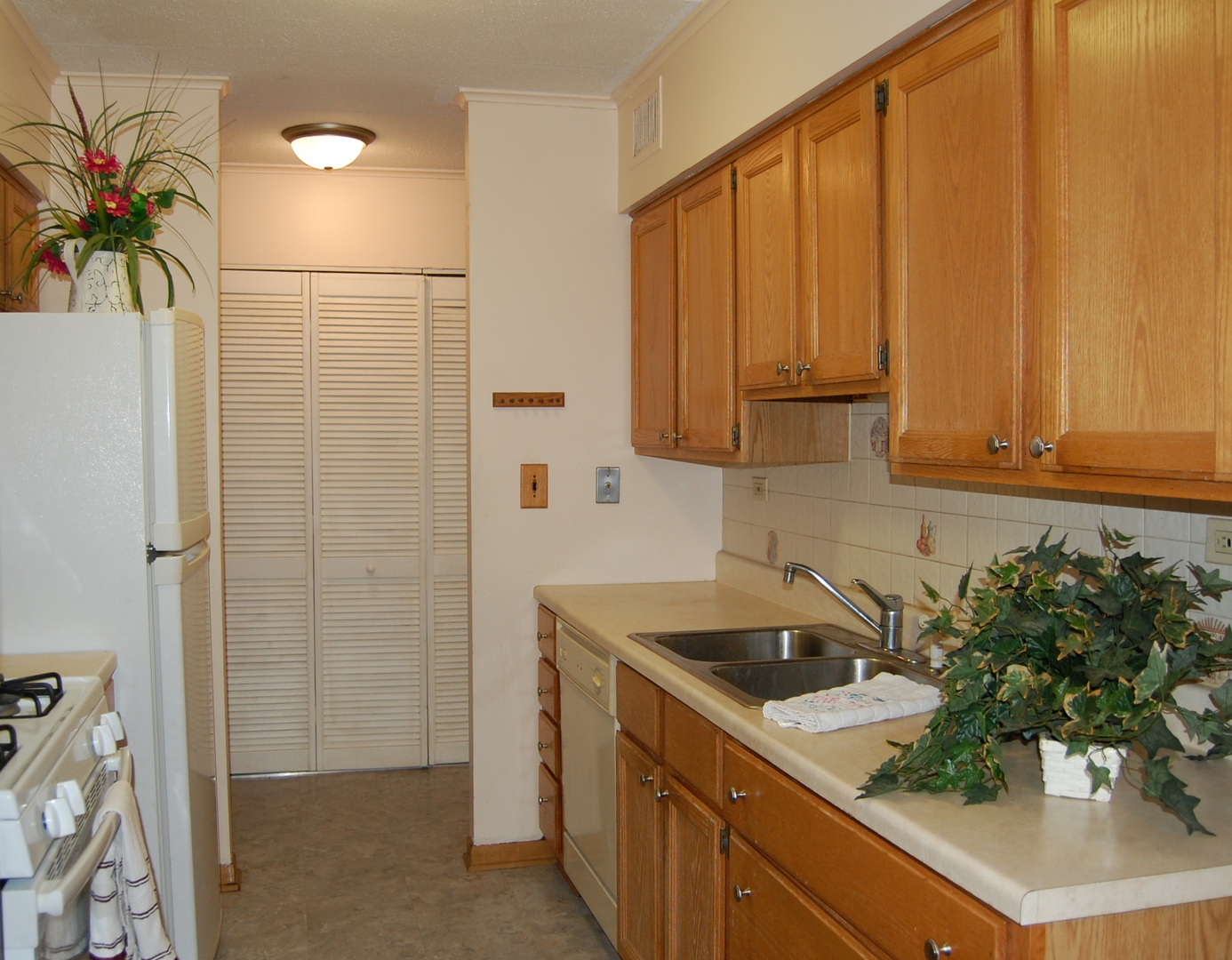 300 South Roselle Road, Unit 507 Schaumburg, IL 60193 - Photo 3 of 19 a bathroom with a sink a potted plant and a window