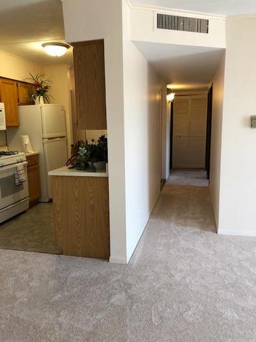 300 South Roselle Road, Unit 507 Schaumburg, IL 60193 - Photo 5 of 19 a view of a refrigerator in kitchen and a sink