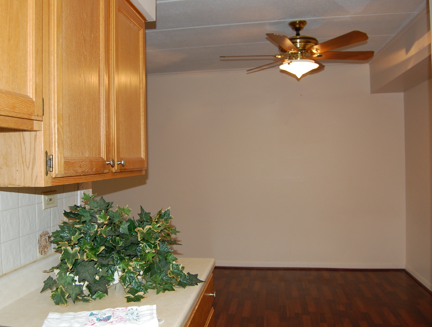 300 South Roselle Road, Unit 507 Schaumburg, IL 60193 - Photo 6 of 19 an empty room with a potted plant