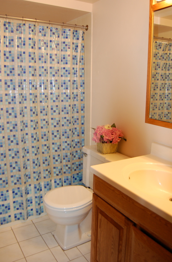 300 South Roselle Road, Unit 507 Schaumburg, IL 60193 - Photo 9 of 19 a bathroom with a sink and a toilet