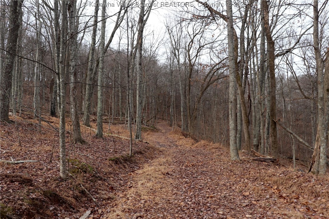 0 Route 12 Road Alum Creek, WV 25003 - Photo 9 of 44 Gallery Image 9