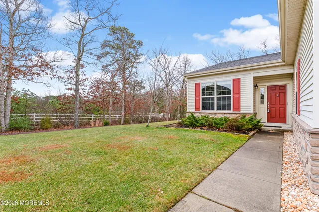a view of a backyard with plants and large trees