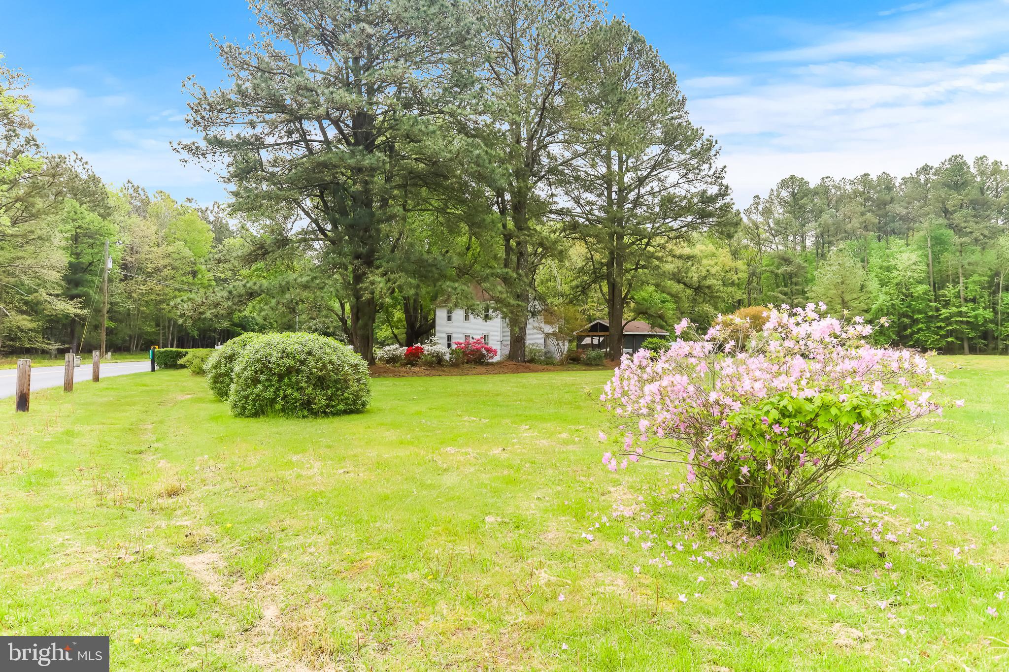 29989 Polks Road Princess Anne, MD 21853 - Photo 38 of 51