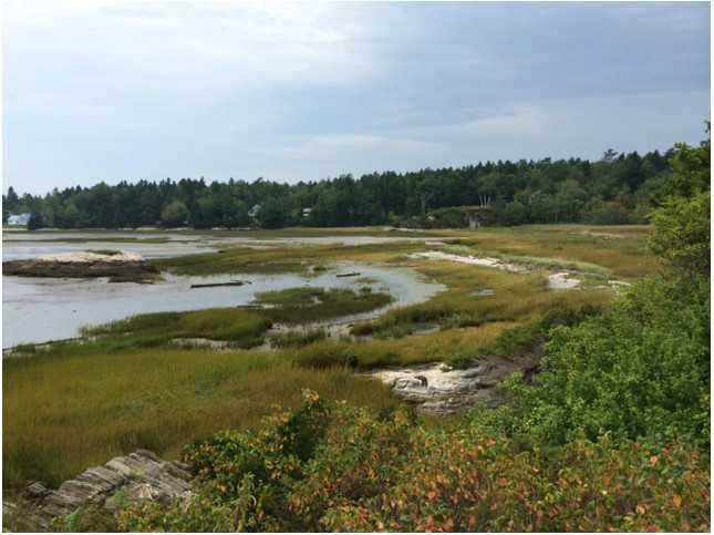 Lot # Parker Head Road Phippsburg, ME 04562 - Photo 7 of 9 View. Wander in the tidal pools...