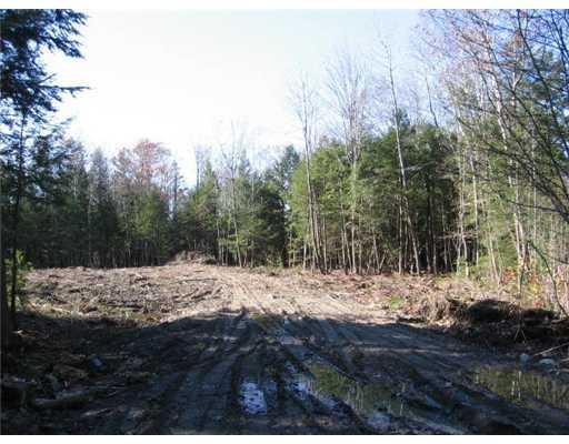 Lot # Main Street Mercer, ME 04957 - Photo 3 of 4 Land/Lot.