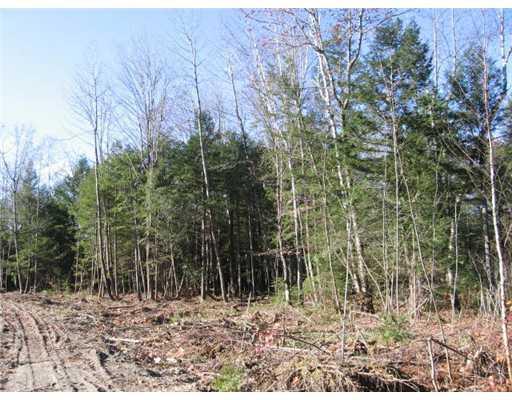 Lot # Main Street Mercer, ME 04957 - Photo 4 of 4 Land/Lot.