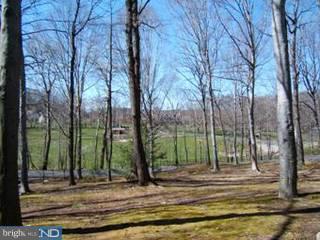 4807 Church Road Buckingham, PA 18902 - Photo 6 of 6