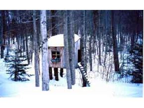 478 Macdonald Road Washington, VT 05675 - Photo 4 of 5