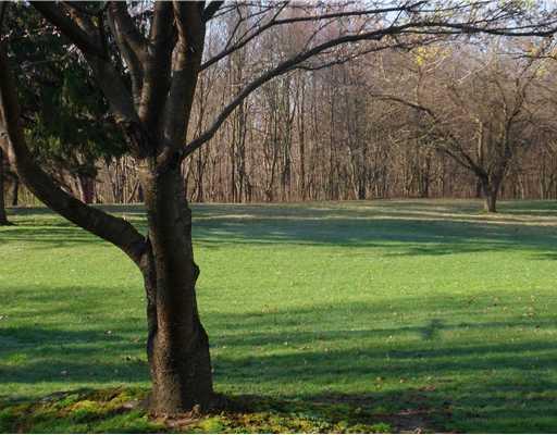 13439 State Rte 422 Kittanning, PA 16201 - Photo 13 of 14 Yard/Garden.