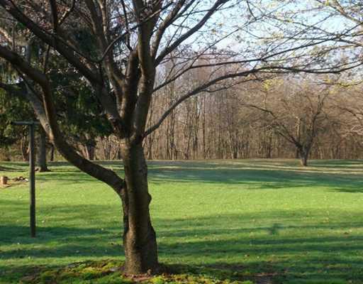 13439 State Rte 422 Kittanning, PA 16201 - Photo 14 of 14 Yard/Garden.
