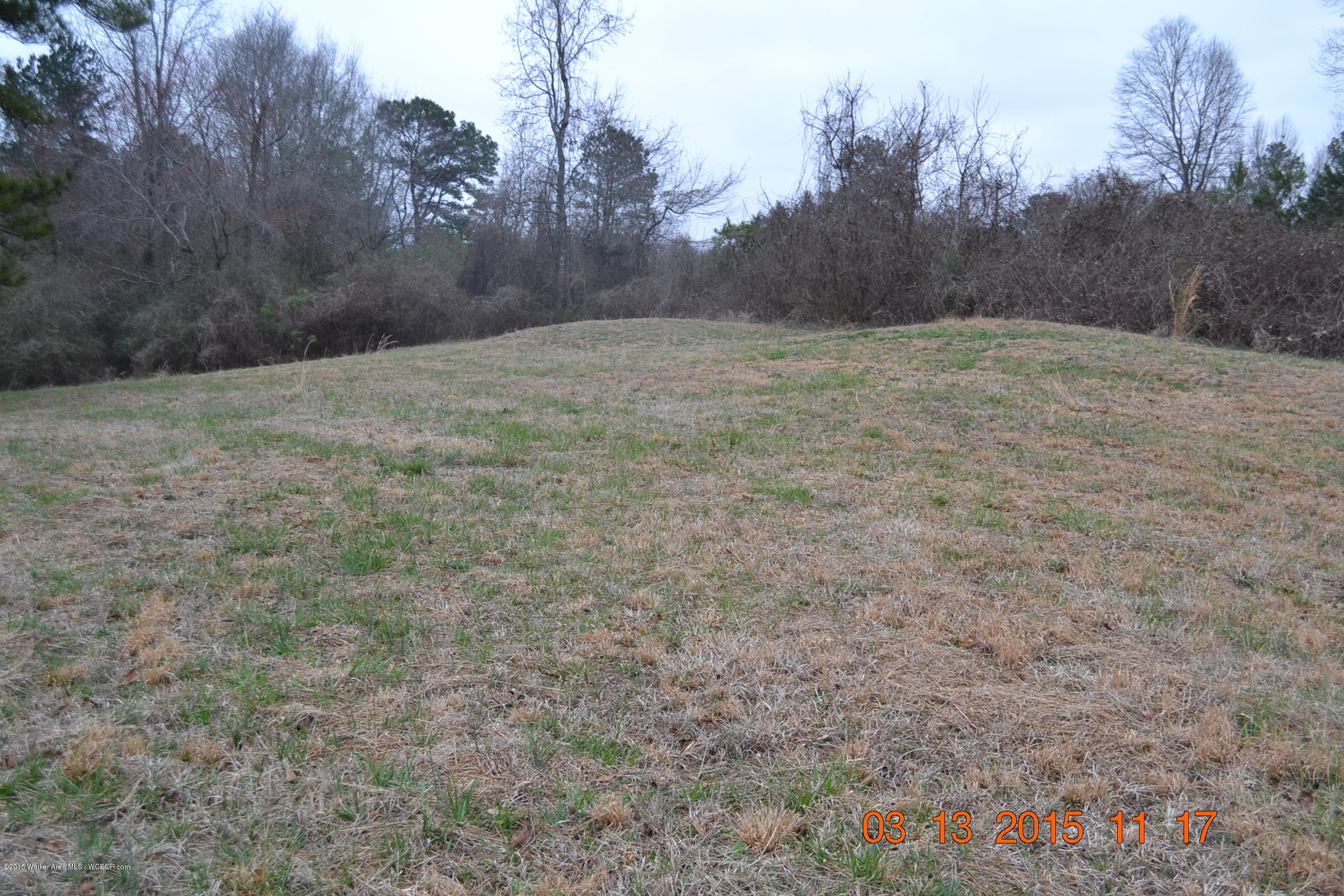 3267 Redmill Saragossa Road Nauvoo, AL 35578 - Photo 11 of 14 Gallery Image 11