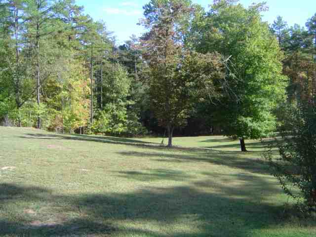 701 Forest Road Clinton, SC 29325 - Photo 13 of 16 Gallery Image 13