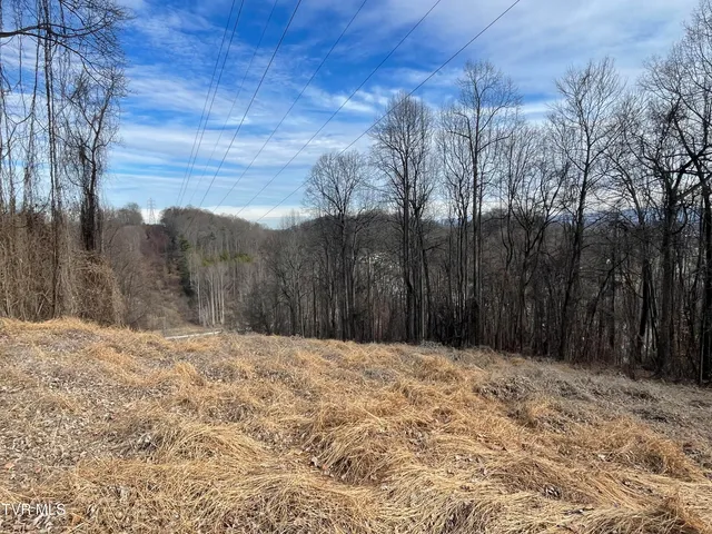 $225,000 | Undisclosed Address, Bristol, VA 24202