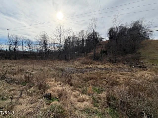 $225,000 | Undisclosed Address, Bristol, VA 24202