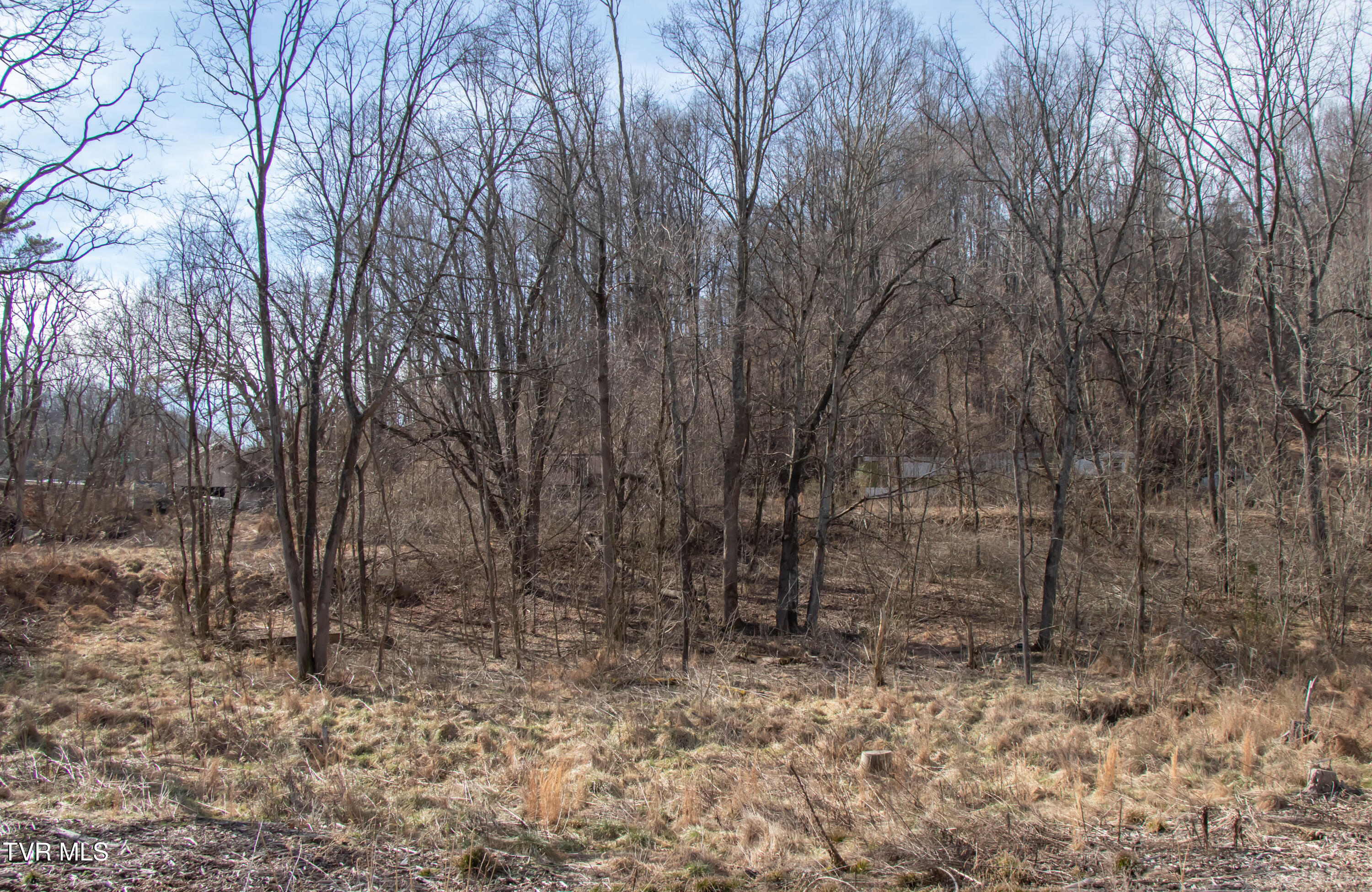 Undisclosed Address Bristol, VA 24202 - Photo 28 of 32 Cunnungham-17