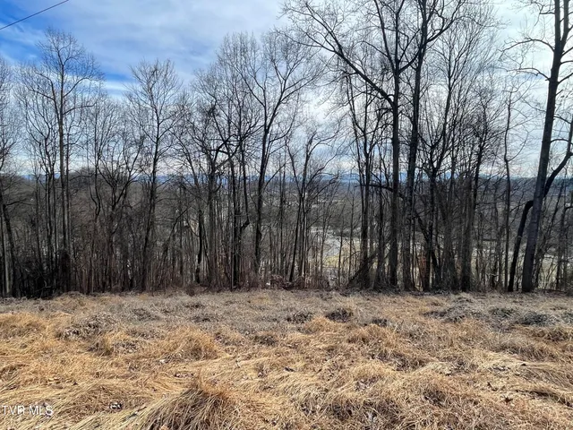 $225,000 | Undisclosed Address, Bristol, VA 24202