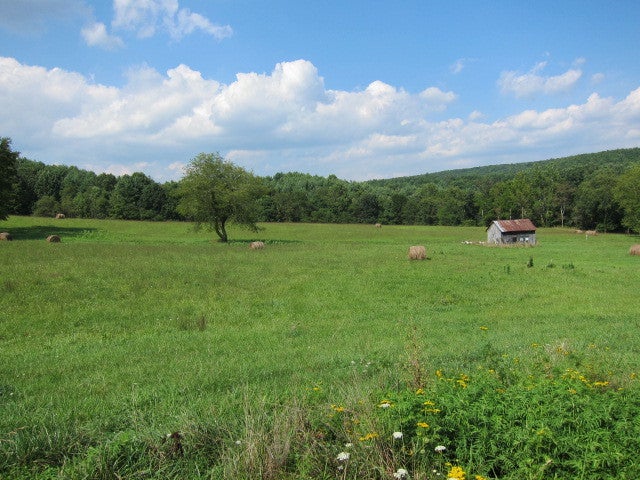 2025 Pete Lynch Road Secondcreek, WV 24974 - Photo 83 of 94 Field area beind barn.