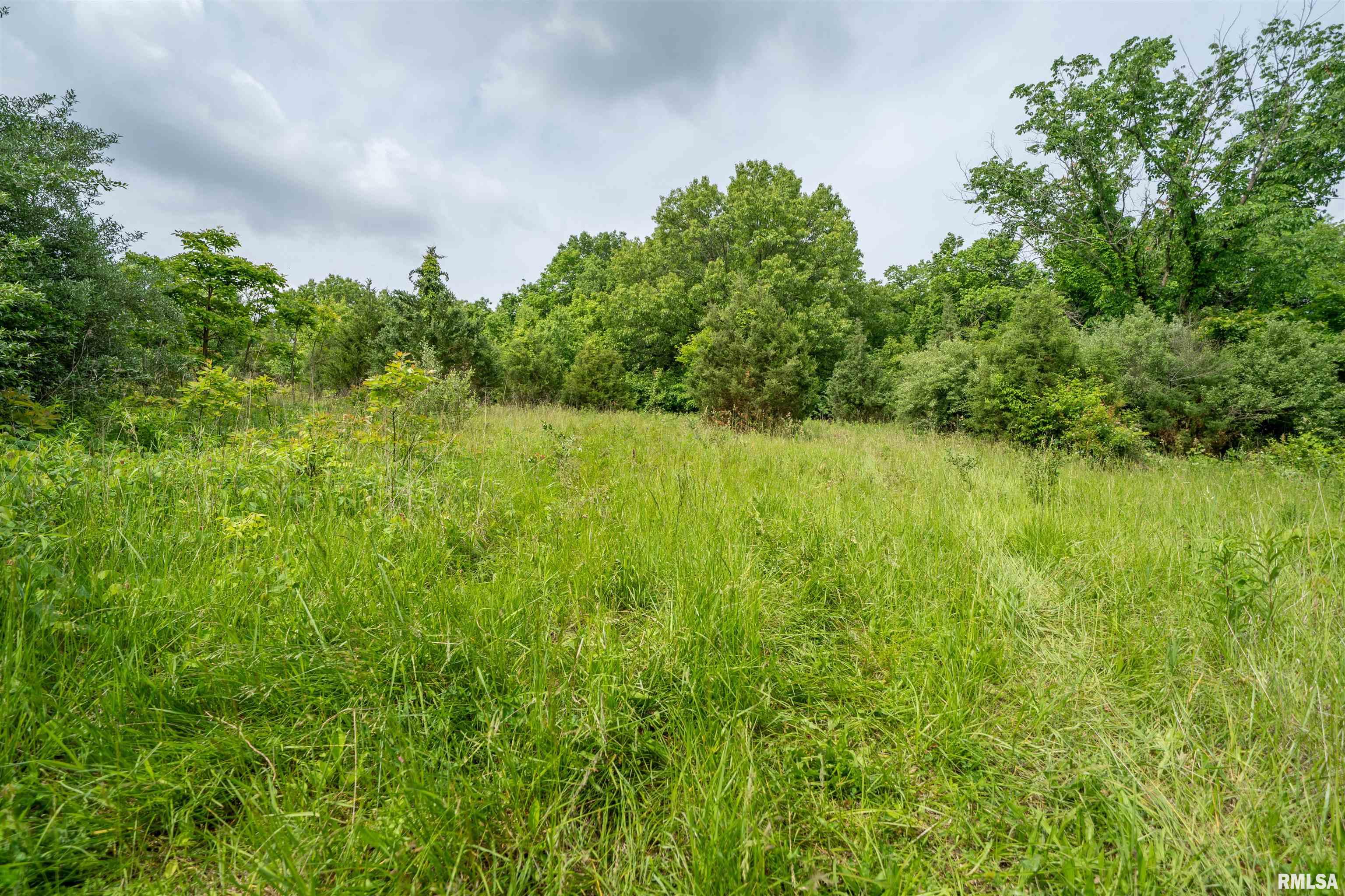 23907 Veterans Road Morton, IL 61550 - Photo 46 of 48 Gallery Image 46