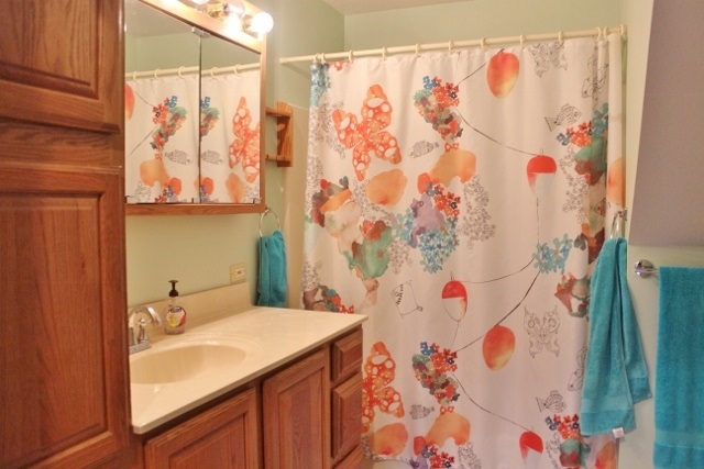 374 East Hoffman Road St. Louis, MI 48880 - Photo 25 of 72 1831450-24.JPG