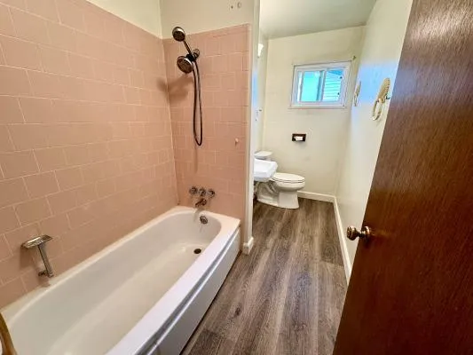 a bathroom with a bathtub and a toilet
