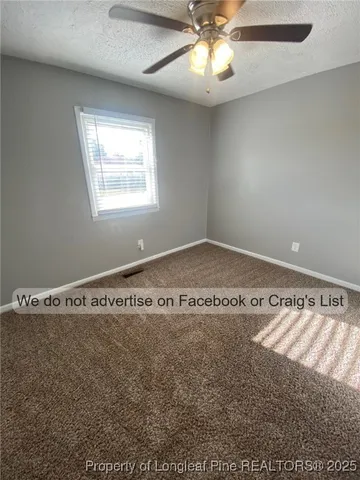 a view of a park with plants and trees