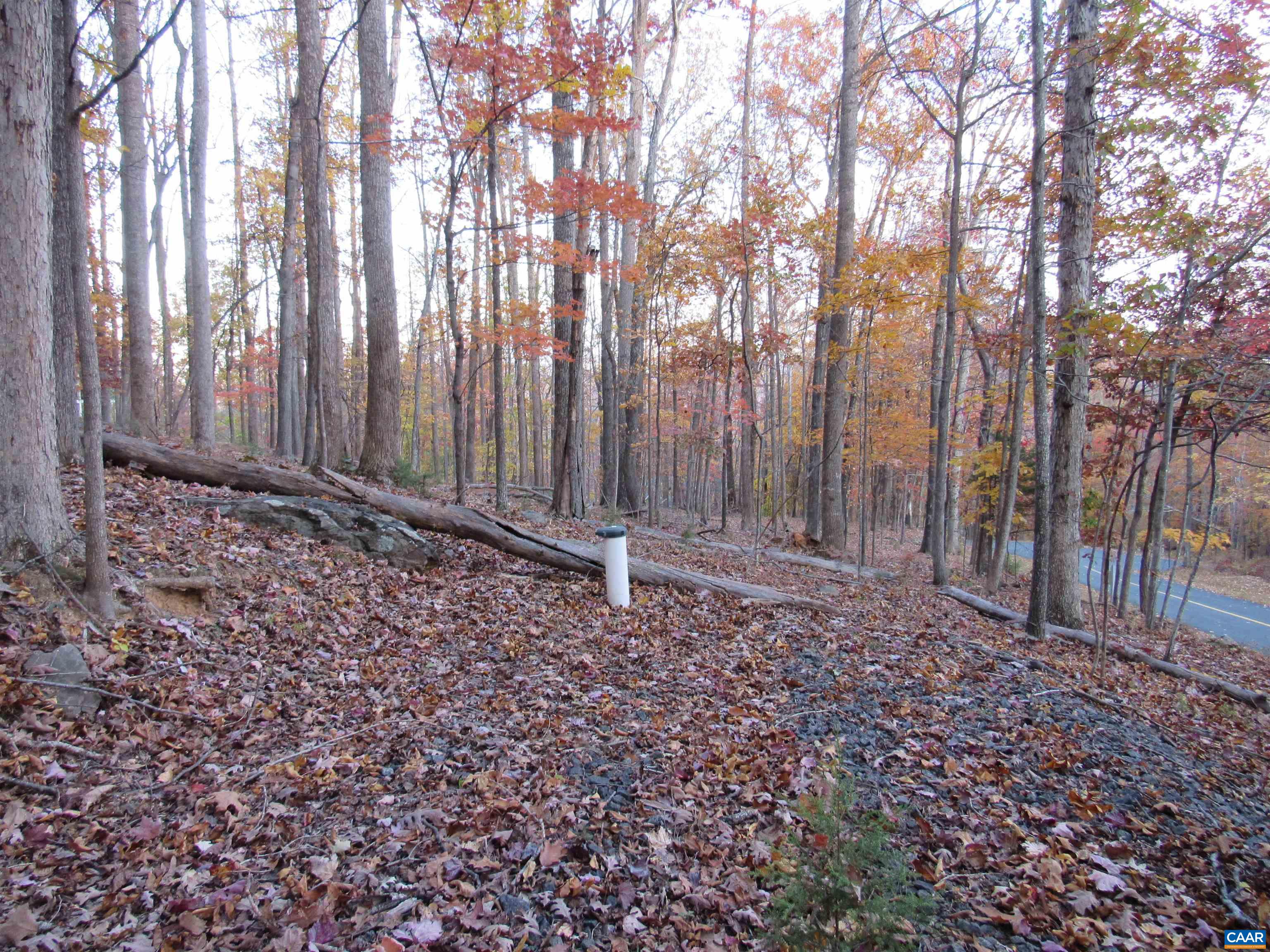 10 Rodes Valley Drive Nellysford, VA 22958 - Photo 2 of 2 a view of a backyard with trees