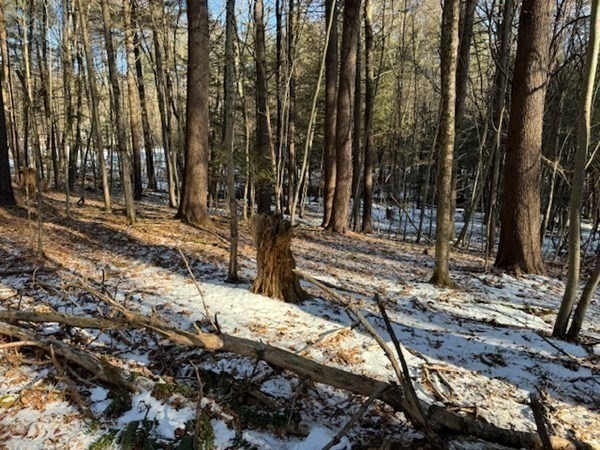 0 Mathews Road South Deerfield, MA 01373 - Photo 8 of 23 Gallery Image 8