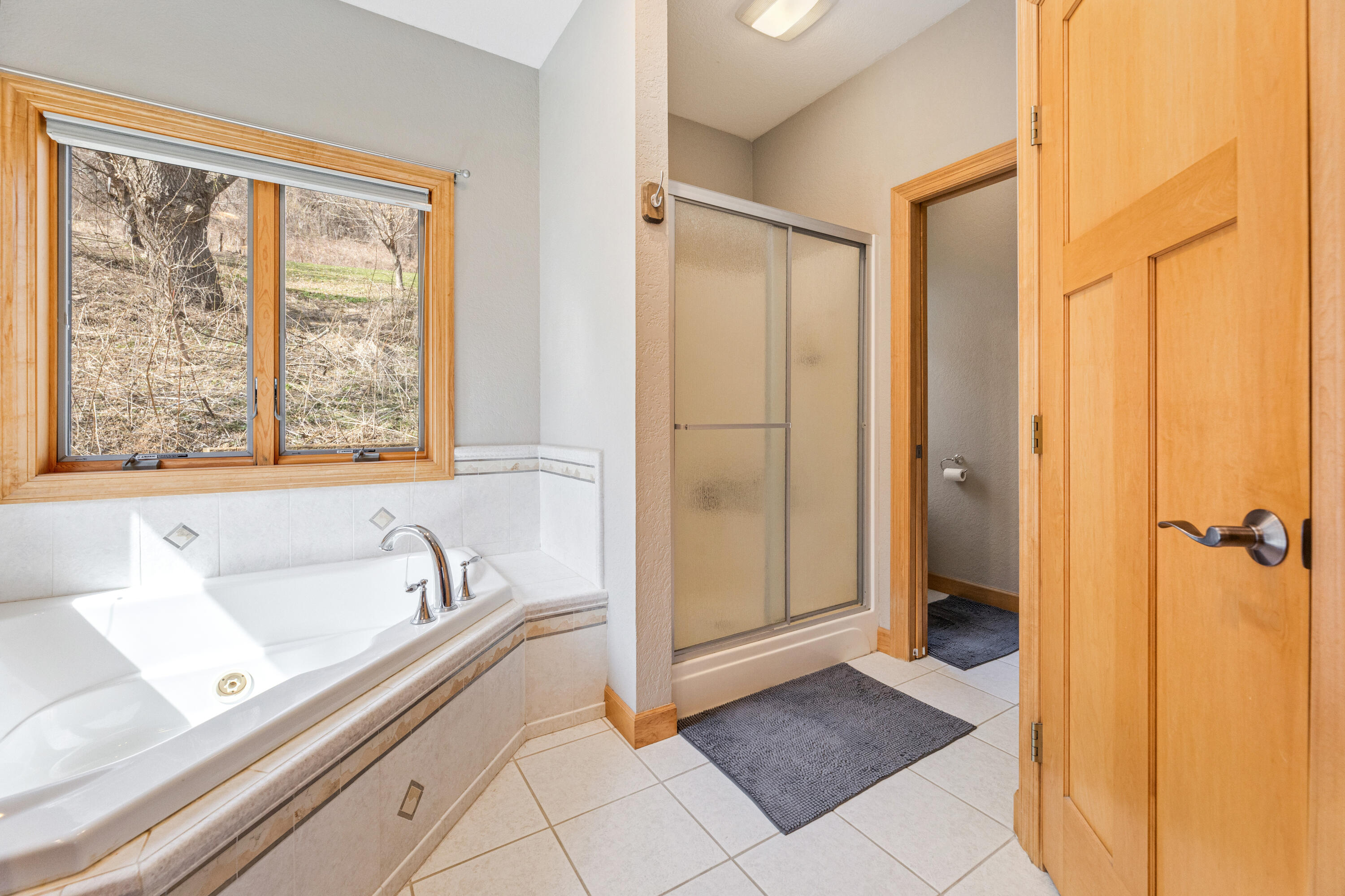 76 Rodeo Drive Winona, MN 55987 - Photo 19 of 38 19 primary bath