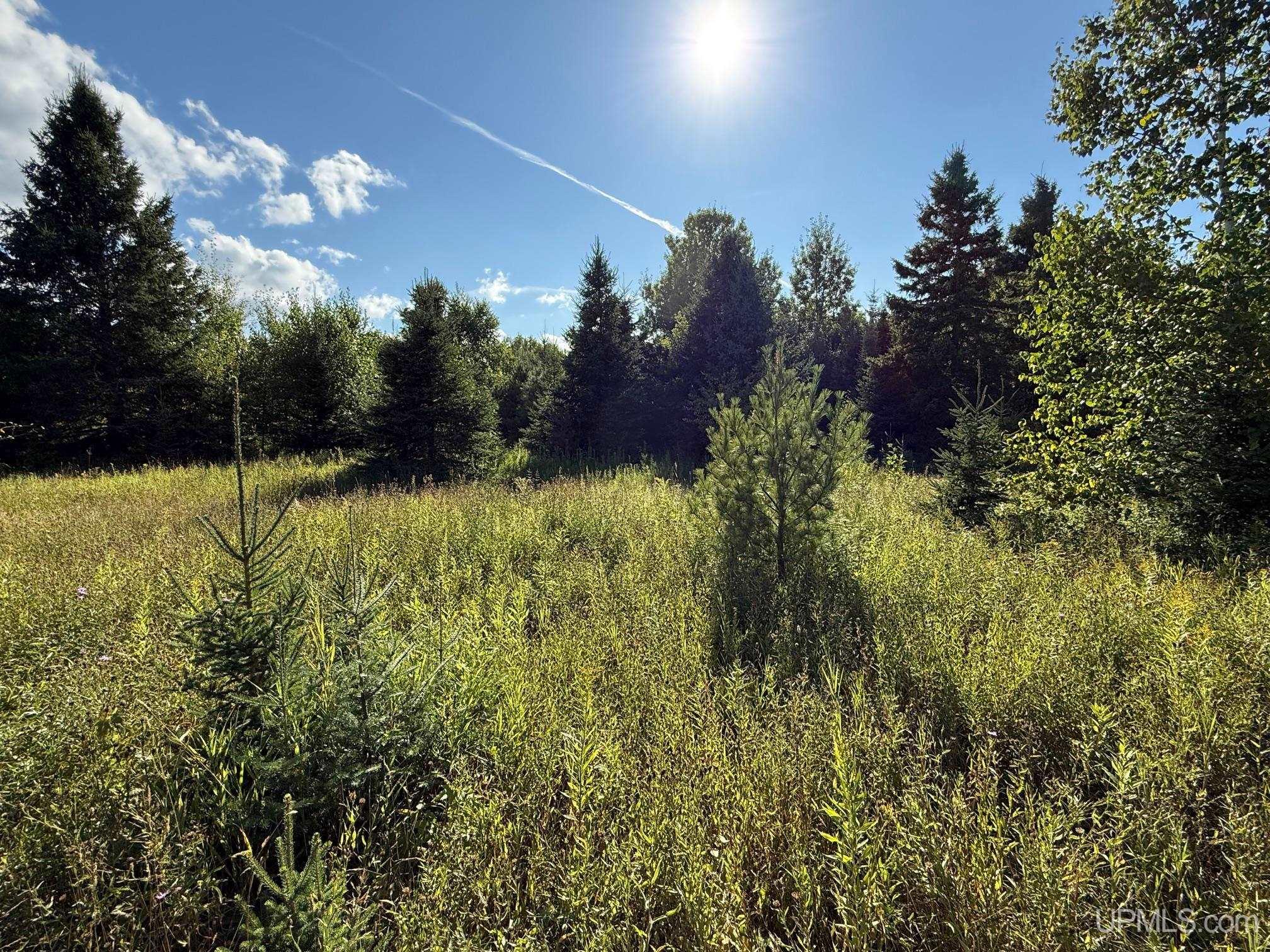 Tbde20 Firesteel Road Ontonagon, MI 49953 - Photo 13 of 16