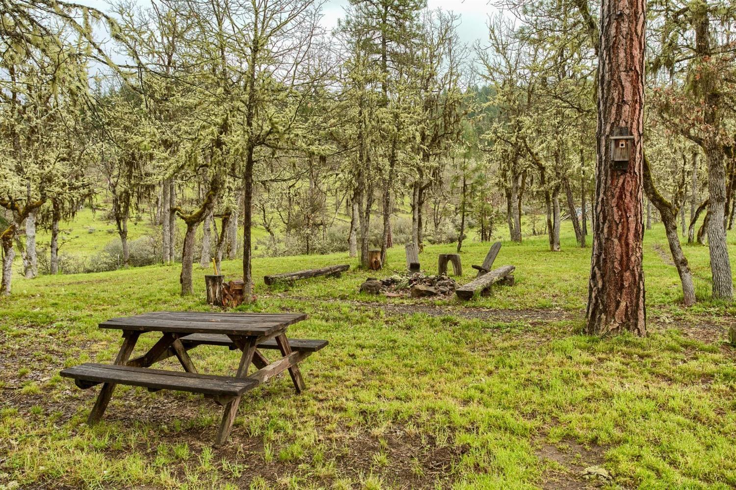 19822 Antioch Road White City, OR 97503 - Photo 20 of 28 Picnic Area