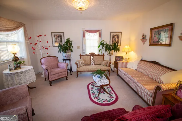 a living room with furniture a couch and a potted plant