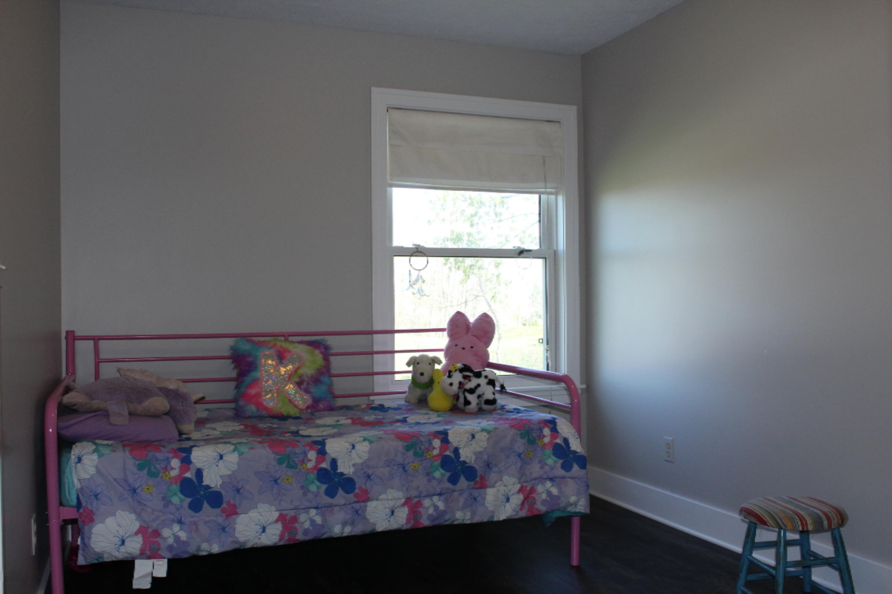 9962 Harkness Road Belding, MI 48809 - Photo 23 of 34 IMG_3405