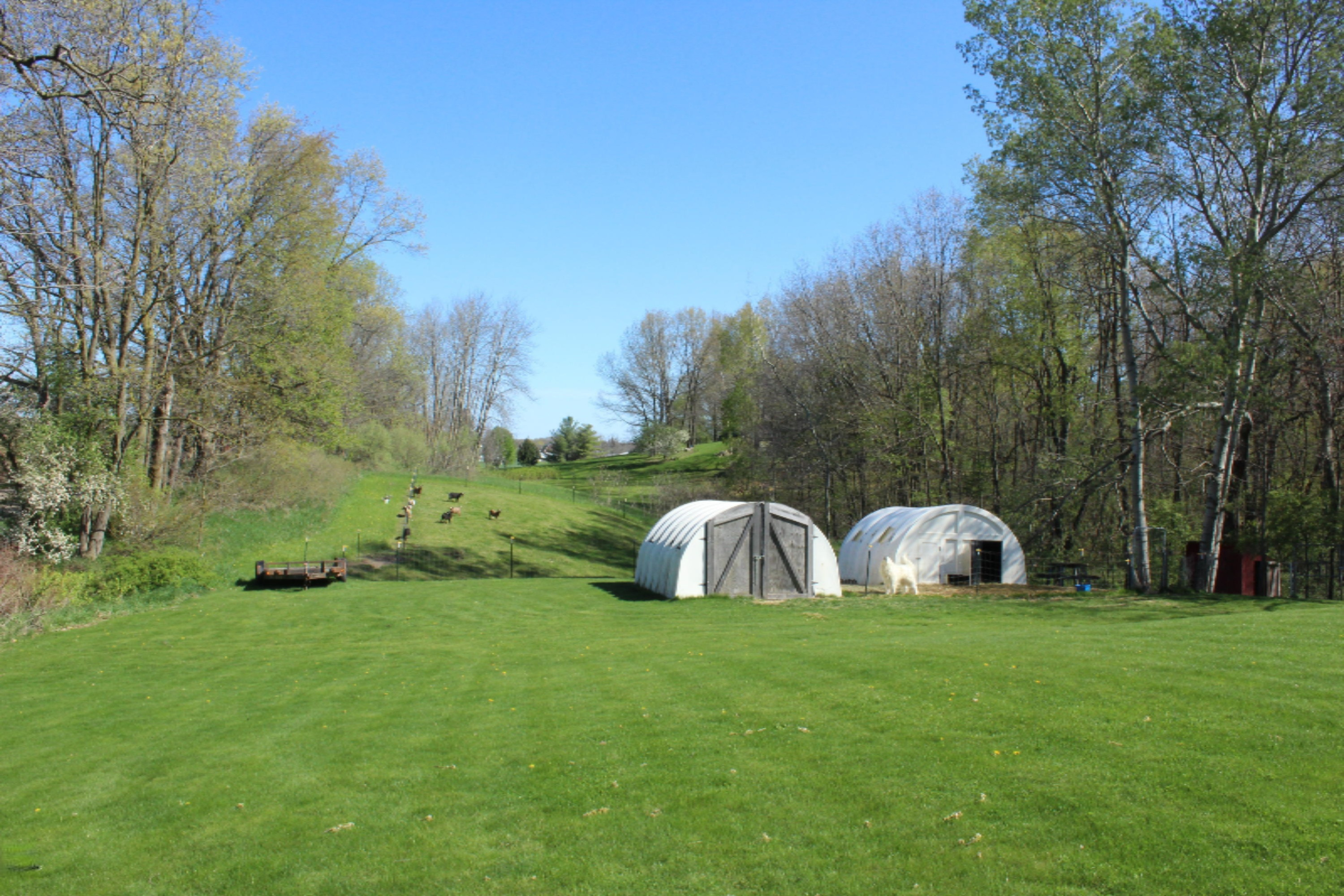 9962 Harkness Road Belding, MI 48809 - Photo 3 of 34 IMG_3393