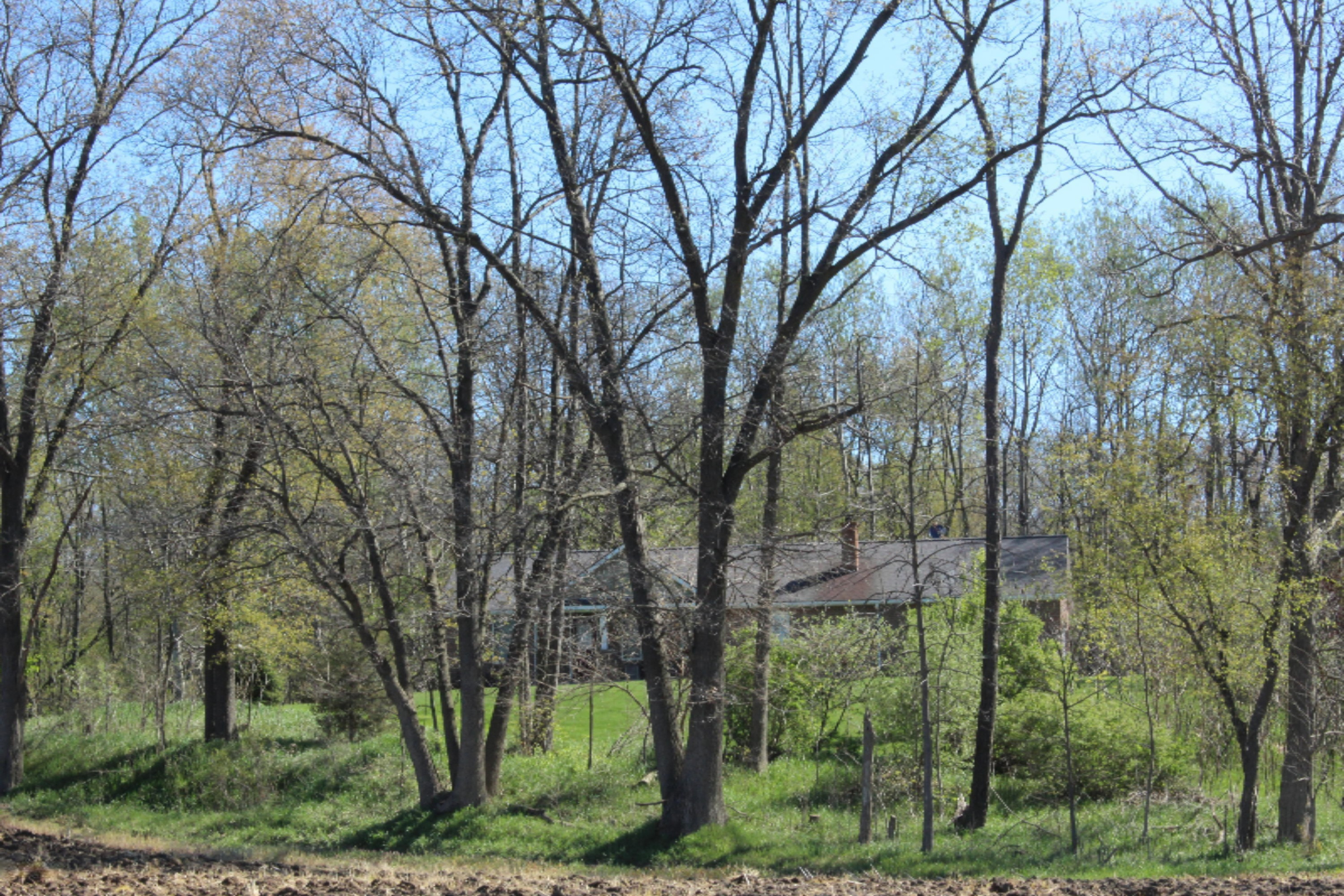 9962 Harkness Road Belding, MI 48809 - Photo 7 of 34 IMG_3399