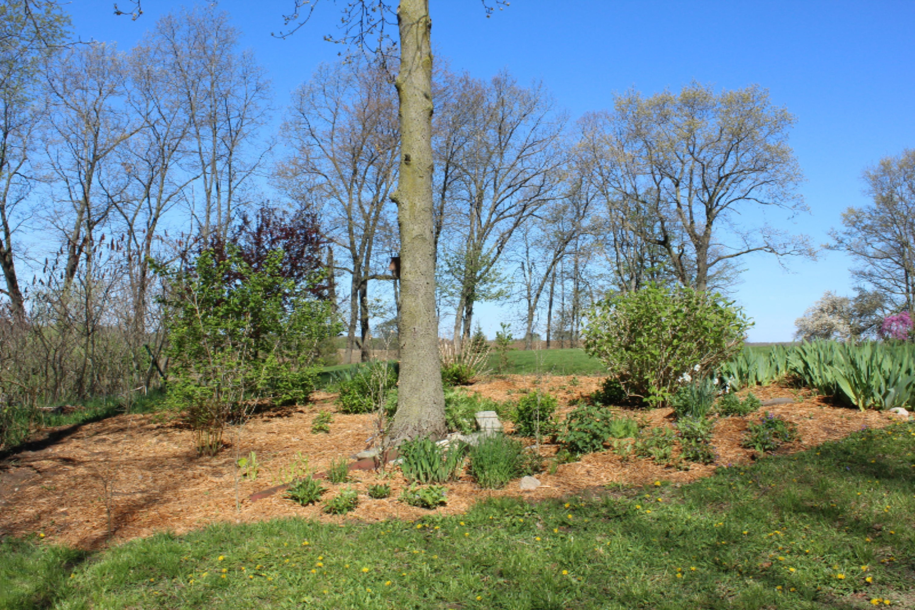 9962 Harkness Road Belding, MI 48809 - Photo 8 of 34 IMG_3400
