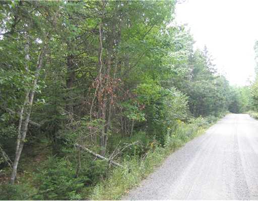 50 Sweet Fern Road Bar Harbor, ME 04609 - Photo 2 of 3 Land.