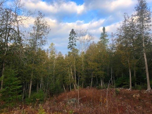 0 Targett Road Rangeley, ME 04970 - Photo 16 of 20 Land