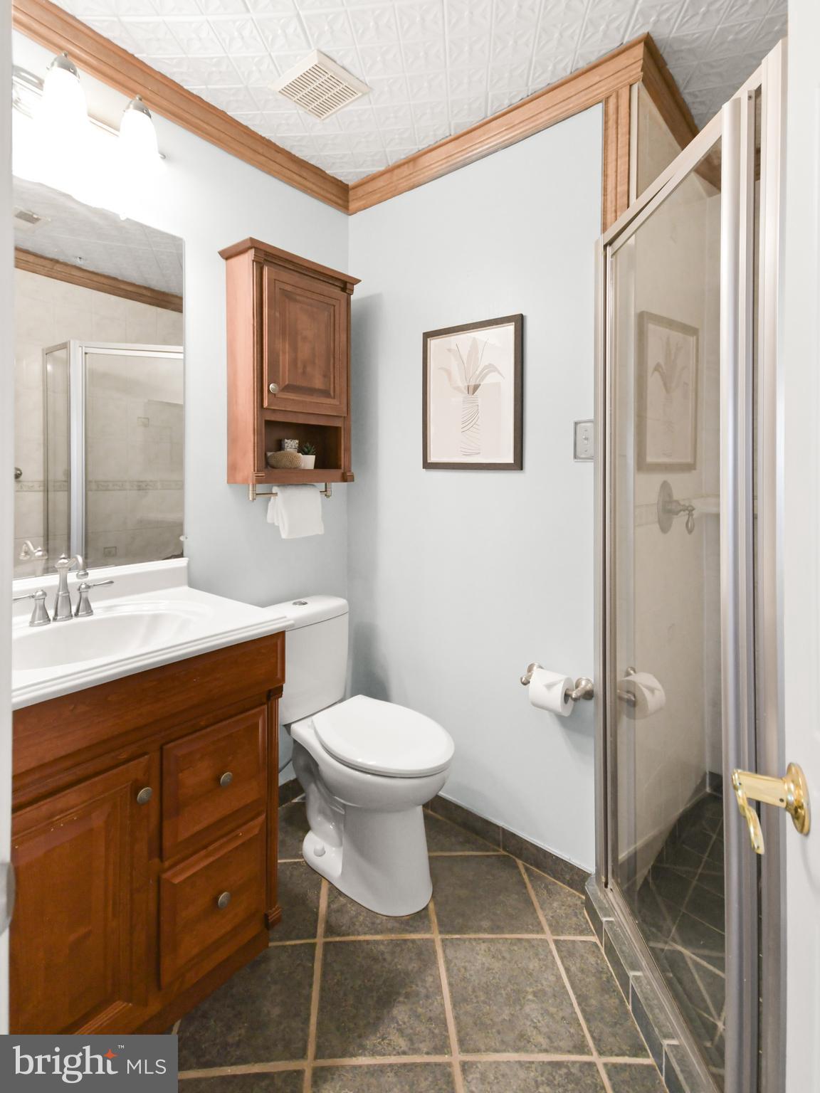 8814 Lew Wallace Road Frederick, MD 21704 - Photo 15 of 64 Entry level bathroom adds comfort and convenience!