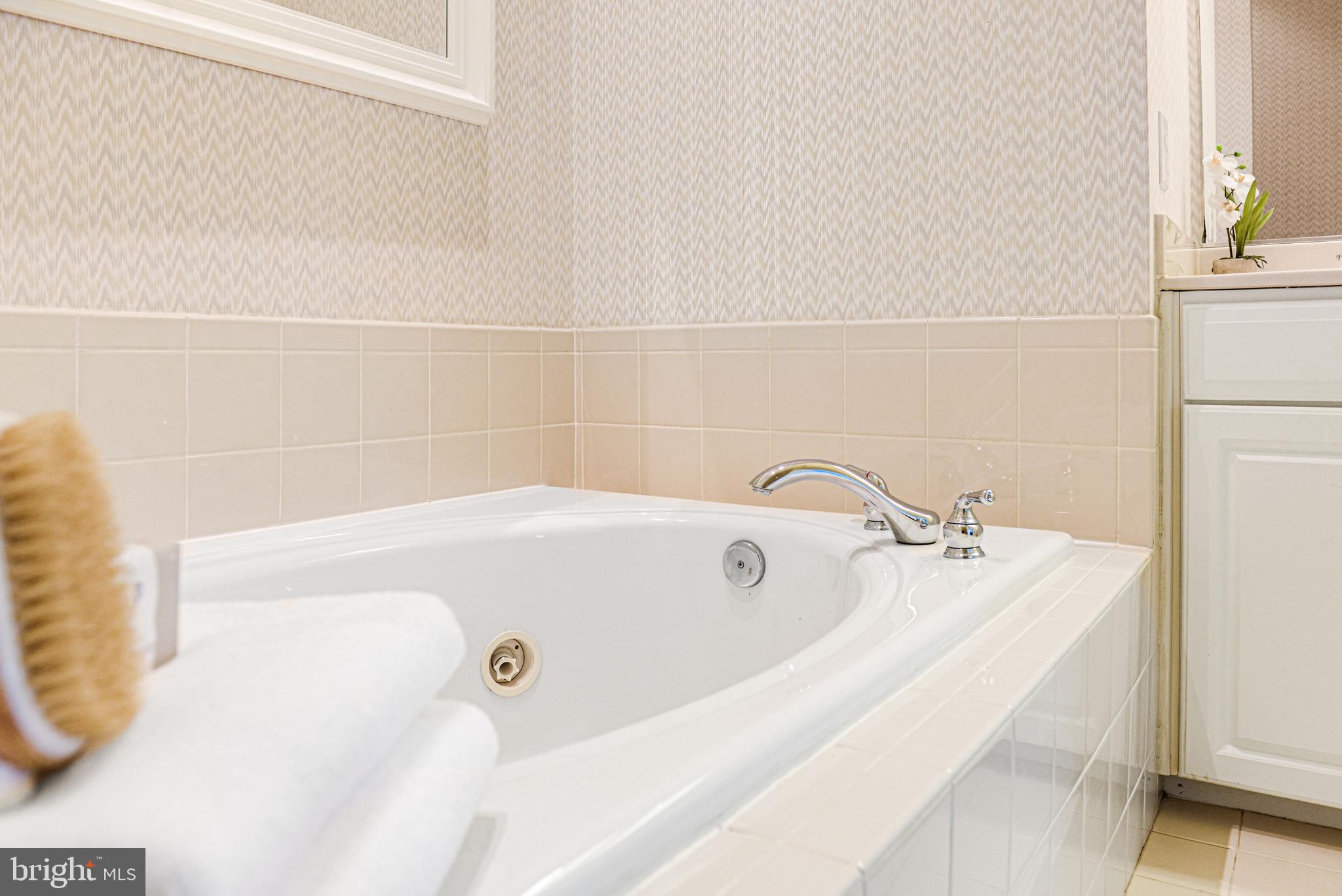 8814 Lew Wallace Road Frederick, MD 21704 - Photo 55 of 64 ... a jetted tub...