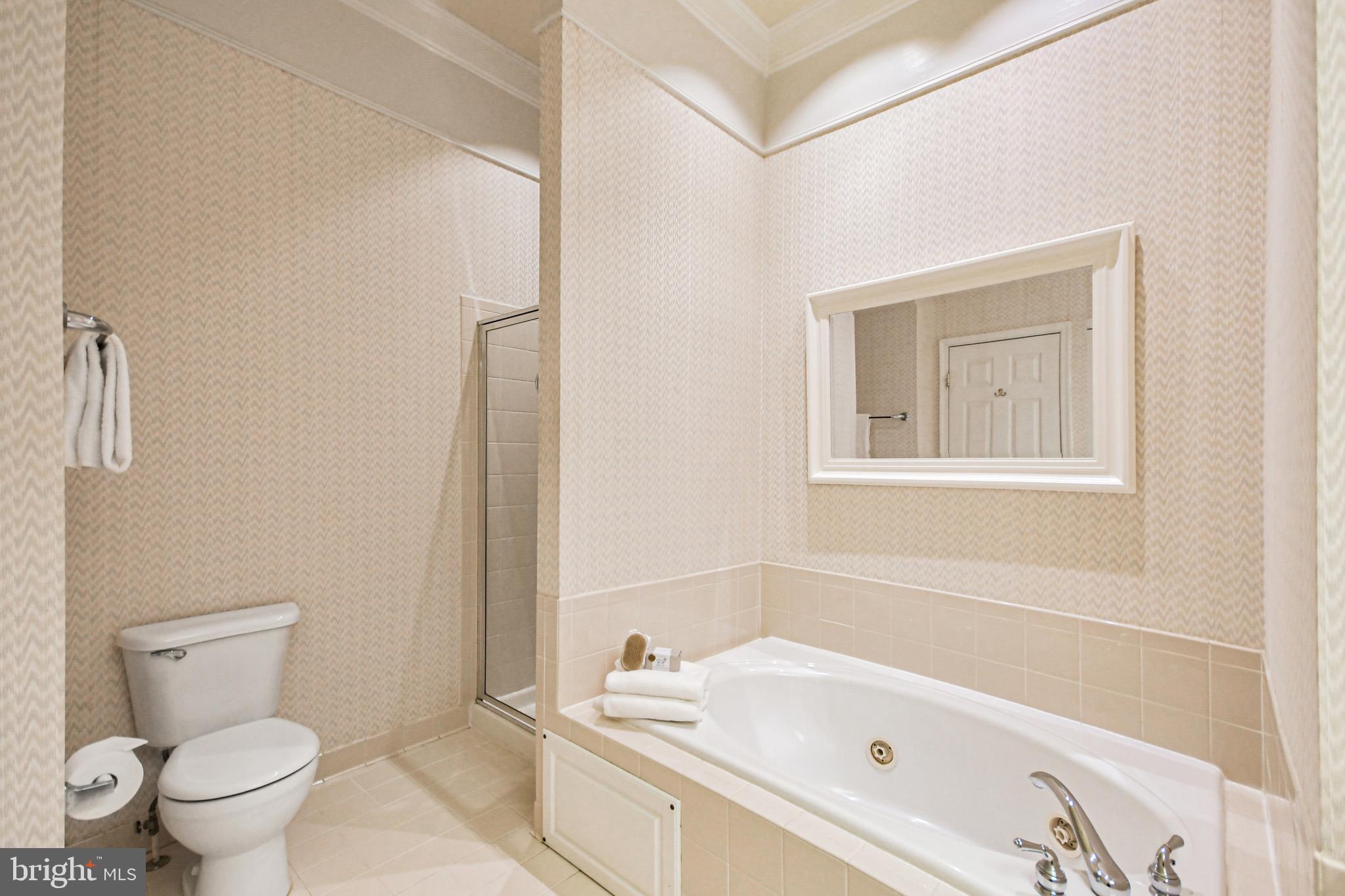 8814 Lew Wallace Road Frederick, MD 21704 - Photo 56 of 64 ... and a walk in shower.