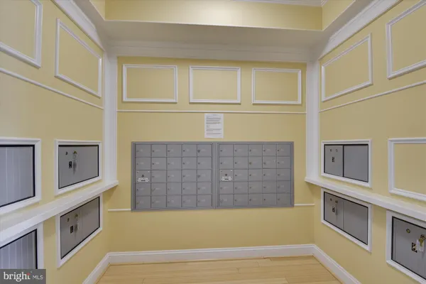 a view of a yard with trees