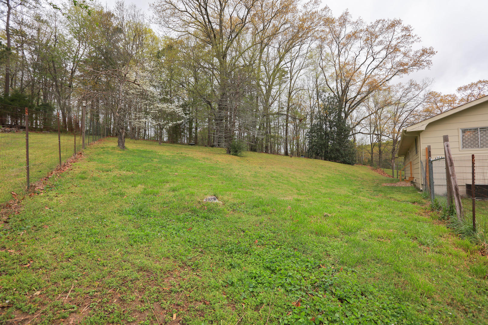3329 Bowers Road Ooltewah, TN 37363 - Photo 19 of 21 Backyard