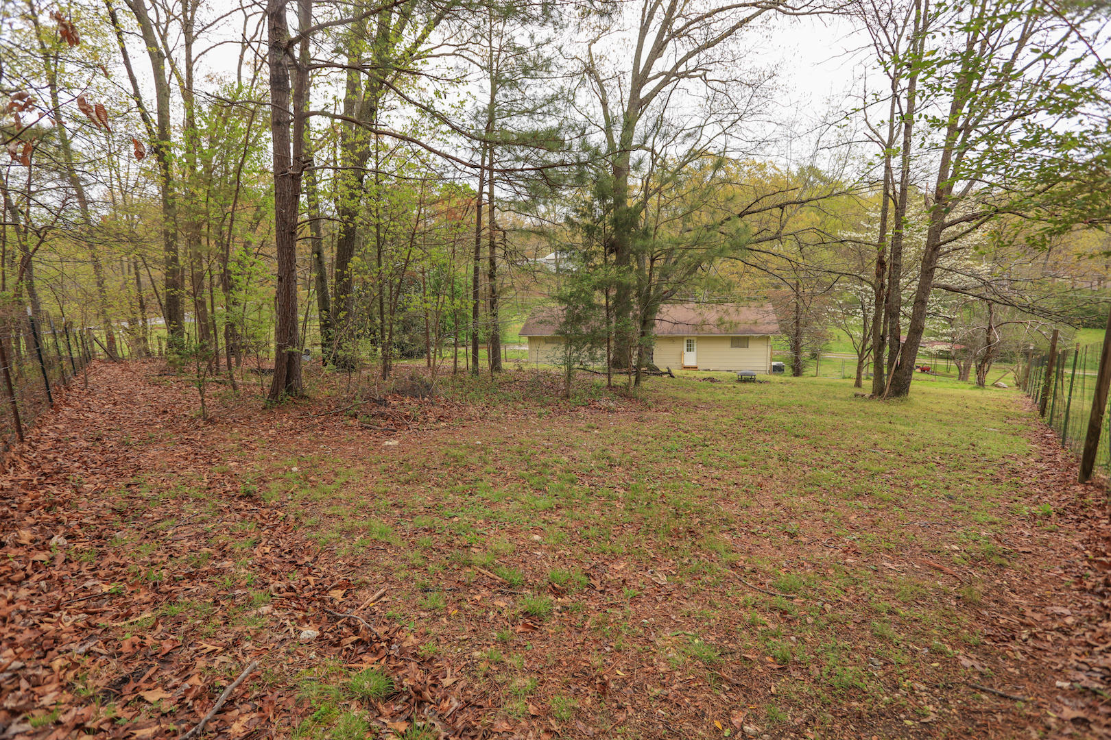 3329 Bowers Road Ooltewah, TN 37363 - Photo 20 of 21 Wooded Area