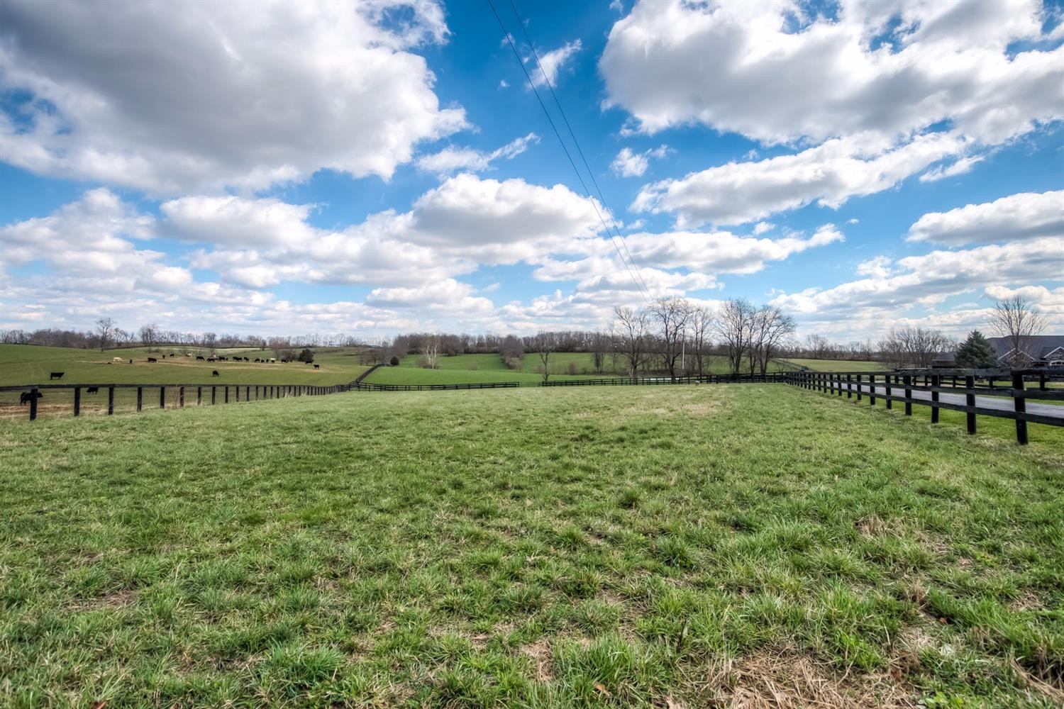 424 Ruddles Mill Road Paris, KY 40361 - Photo 39 of 62 Photo 39