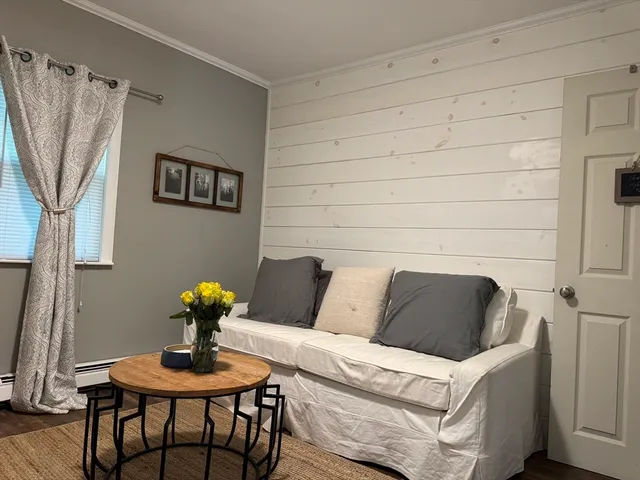 a living room with furniture and a potted plant