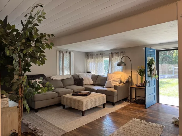 a living room with furniture and a potted plant