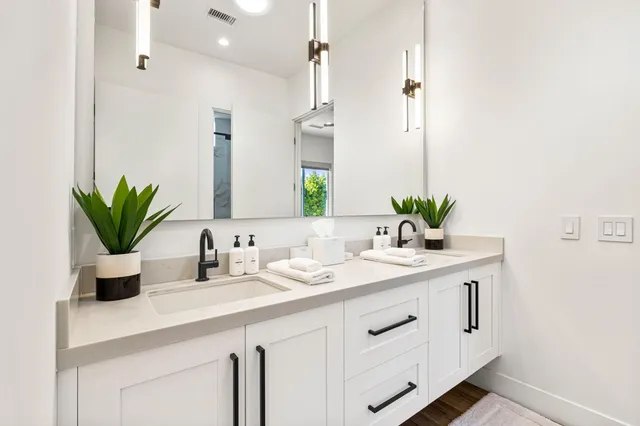 a bathroom with a sink a mirror and a potted plant