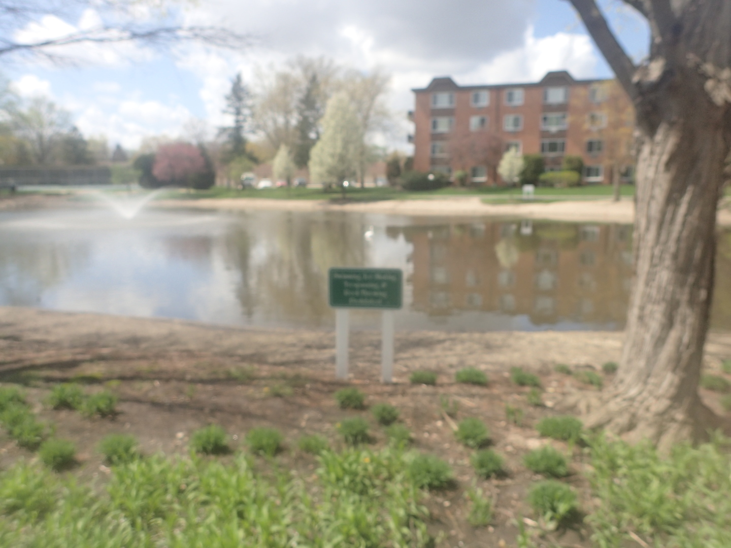 1127 South Old Wilke Road, Unit 101 Rolling Meadows, IL 60005 - Photo 26 of 30