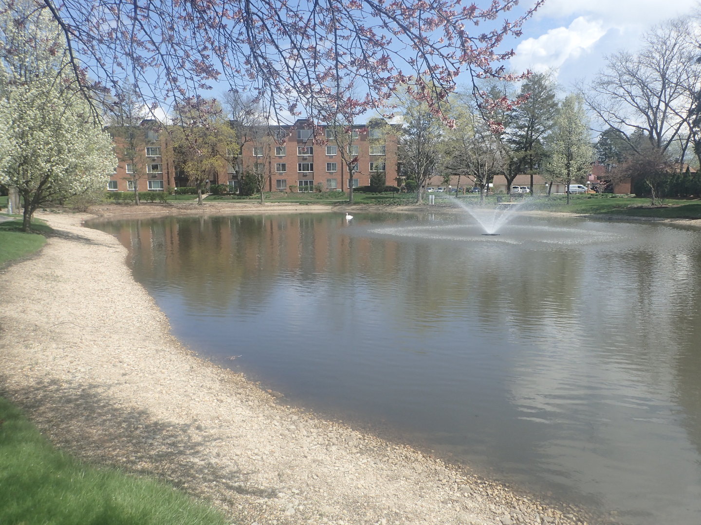 1127 South Old Wilke Road, Unit 101 Rolling Meadows, IL 60005 - Photo 4 of 30